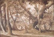 Claude Lorrain Wooded View (mk17) oil painting picture wholesale